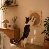 Kedi Tırmalama Tahtası