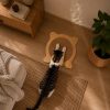 Kedi Tırmalama Tahtası